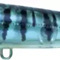 C-120