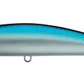 Blue Back