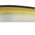 TRANSLUCENT MINNOW