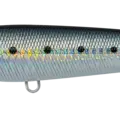 MAIWASHI