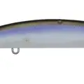 IP WAKASAGI
