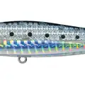 Sardine