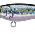 PRIZM SHAD