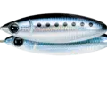 MAIWASHI