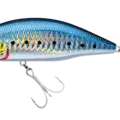 HOLO SARDINE