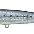 Chart Head Sardine