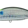 Chart Head Mullet