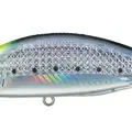 Chart Head Sardine