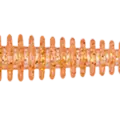GLOW ORANGE