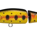 CALI GOLD - CG
