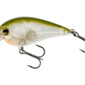 Clear Olive