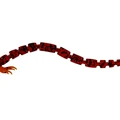 Bloodworm