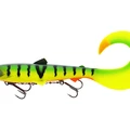 Tiger Perch