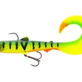 Tiger Perch