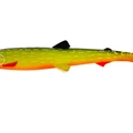 Baltic Pike