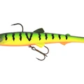 Tiger Perch