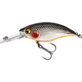 Steel Sardine