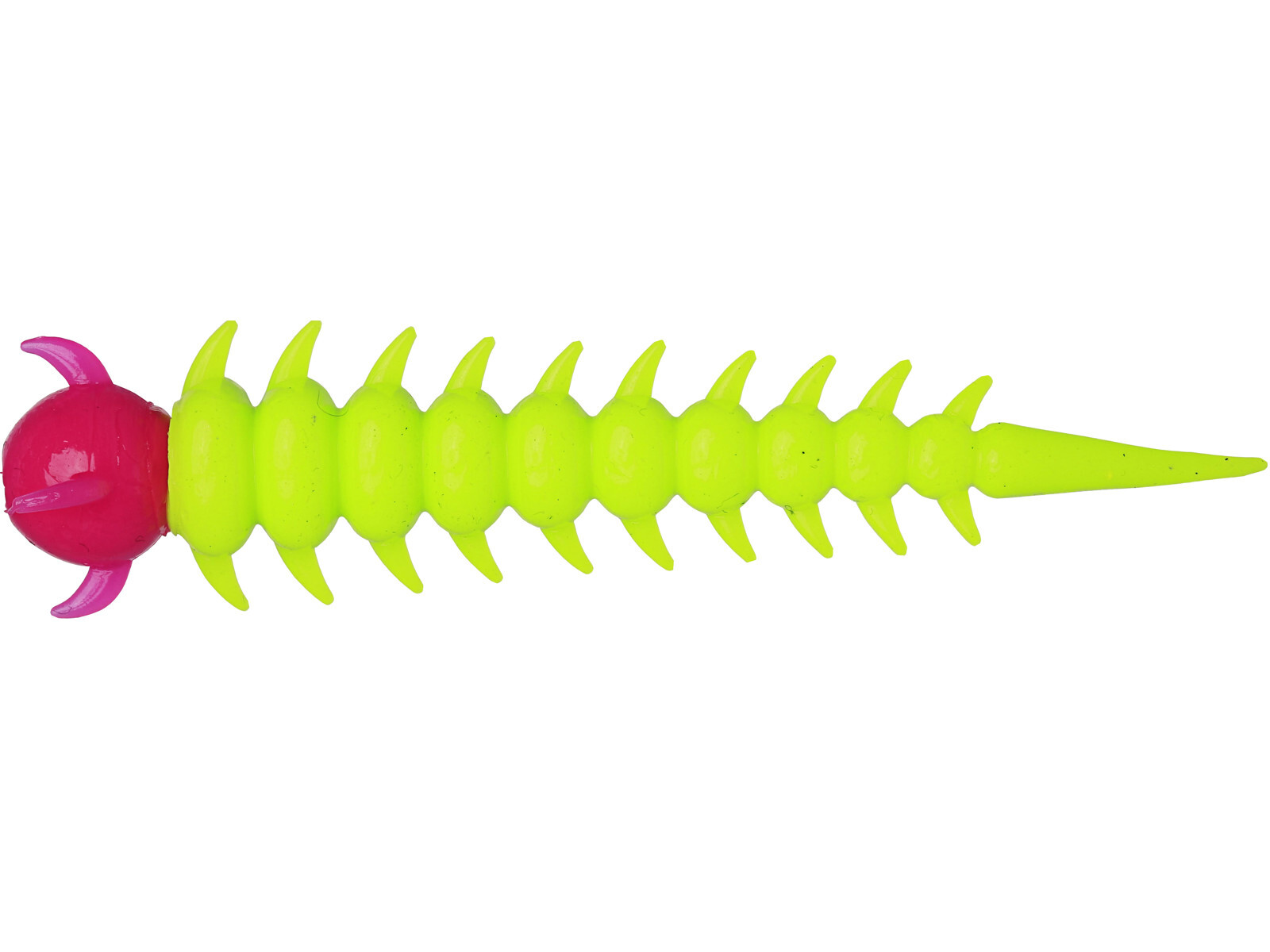 Westin Greedy Worm