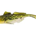 Headlight Goby