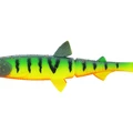 Tiger Perch