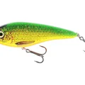 Firetiger Rudd