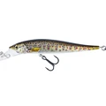 Brown Trout Fry