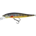 Brook Trout Fry