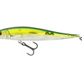 Olive Minnow