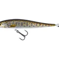 Brown Trout Fry