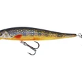 Brook Trout Fry