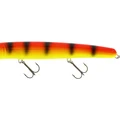 Alert Tiger