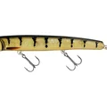3D Amber Perch