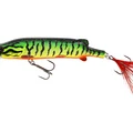 Crazy Firetiger