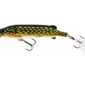 Pike