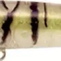 HF-119
