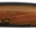 C-110
