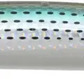 LH-244
