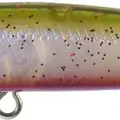 C-443
