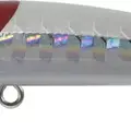 HH-31