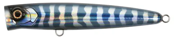 Bassday Bungy Popper
