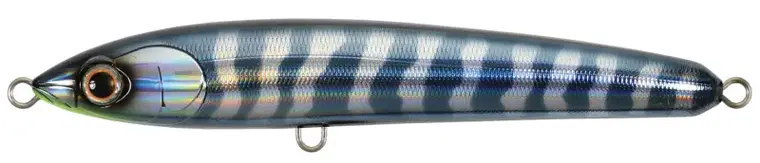 Bassday Bungy Pencil