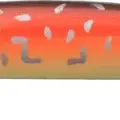 P-902