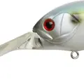 P-50