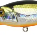 SB-304