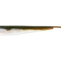 Bass Orange