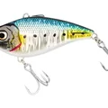 Sardine