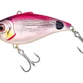 Pink Saddled Bream