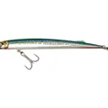 Garfish
