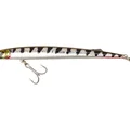 Barracuda