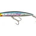 Sardine